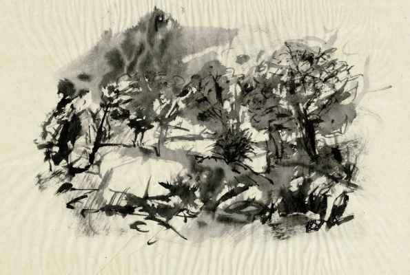 g 20181121 desarbresliz12 27x38 inkchinpap pyv 01