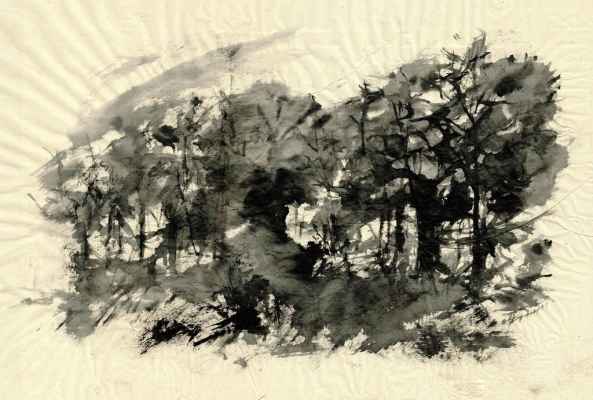 g 20181121 desarbresliz13 35x50 inkchinpap a01 pyv