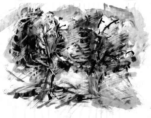 g 20181121 desarbresliz14 32x41 inkchinpap v01 pyv1