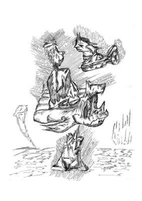 pyv 20221123 095229 n2 xs