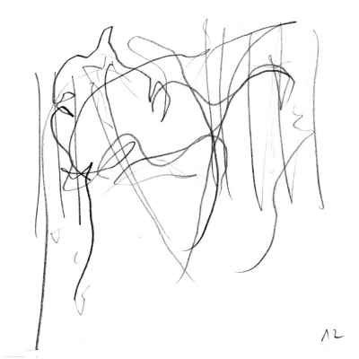 pyvart 20230407 20x20 pina 12 xs