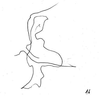 pyvart 20230507 20x20 pina 16 xs