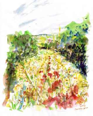 pyvart 20170707 jardinmonthyon02b 27x35 aqua pyvcahiernoir