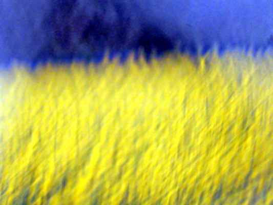 pyvart 20230426 181803 n2 xs