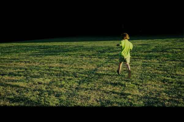 rembrandt 2082 pyvart 816 817 020831 03 copie